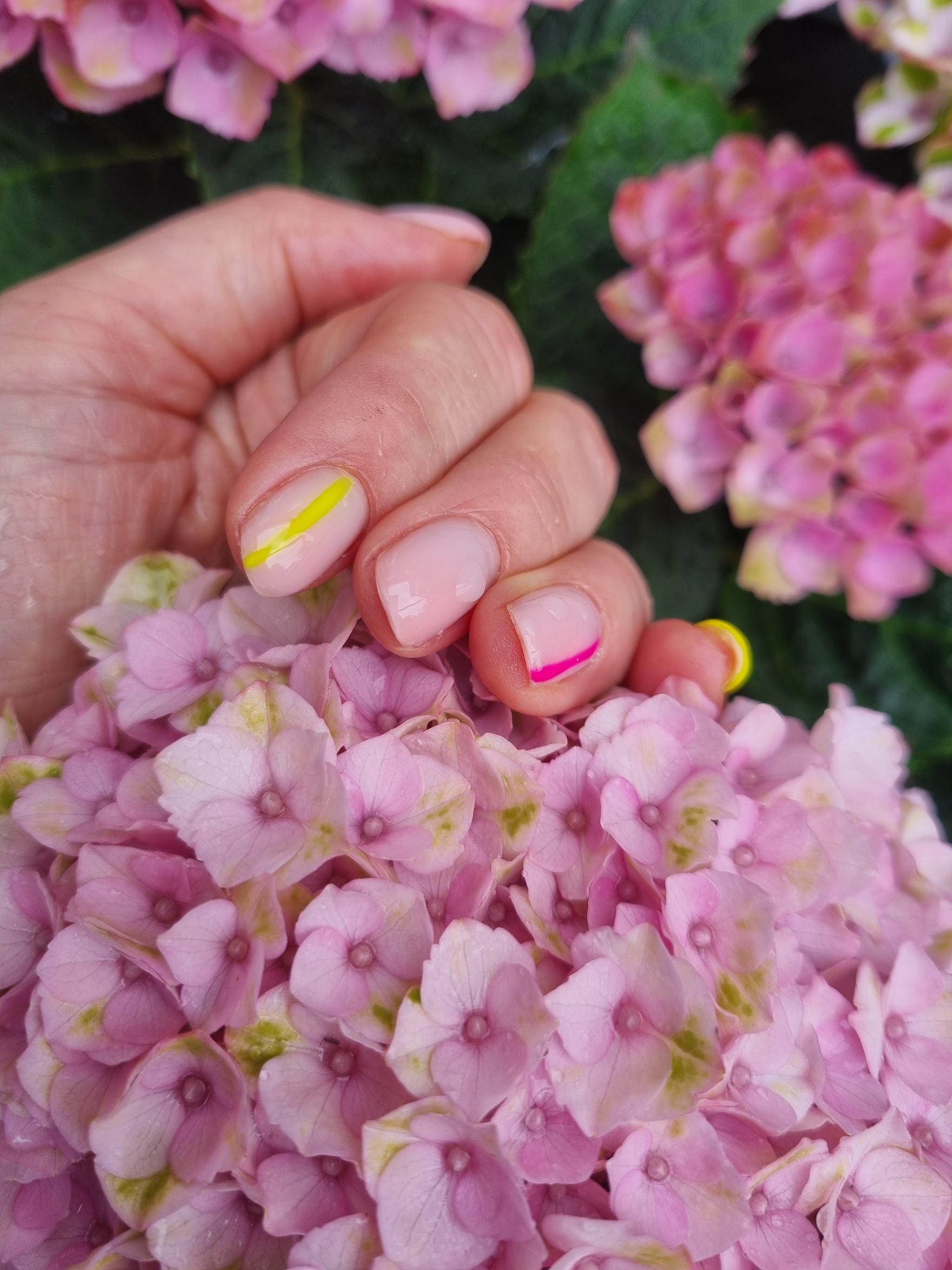 Nude nagels met een geel en roze lijntje, tussen roze hortensia's